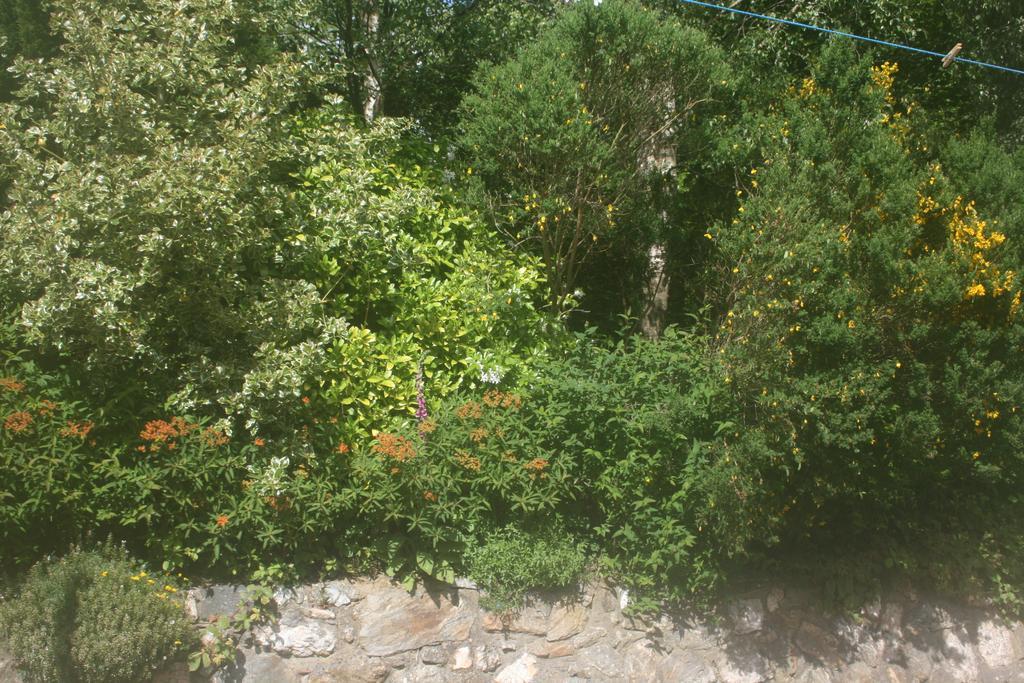 Laragh Mountain View Lodge Saggart Quarto foto