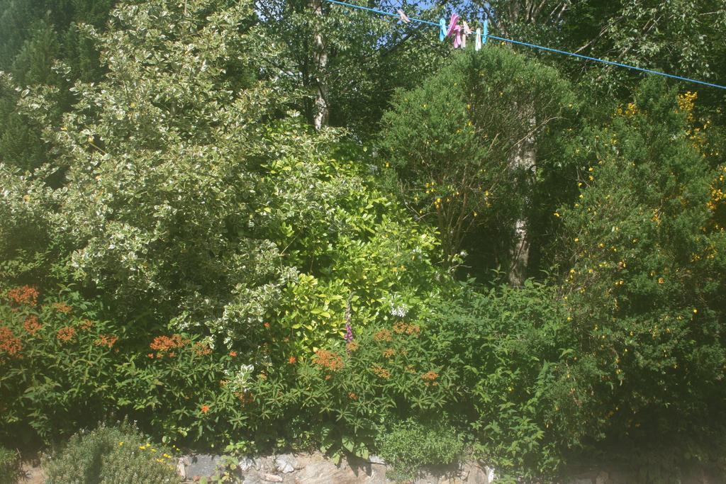 Laragh Mountain View Lodge Saggart Quarto foto